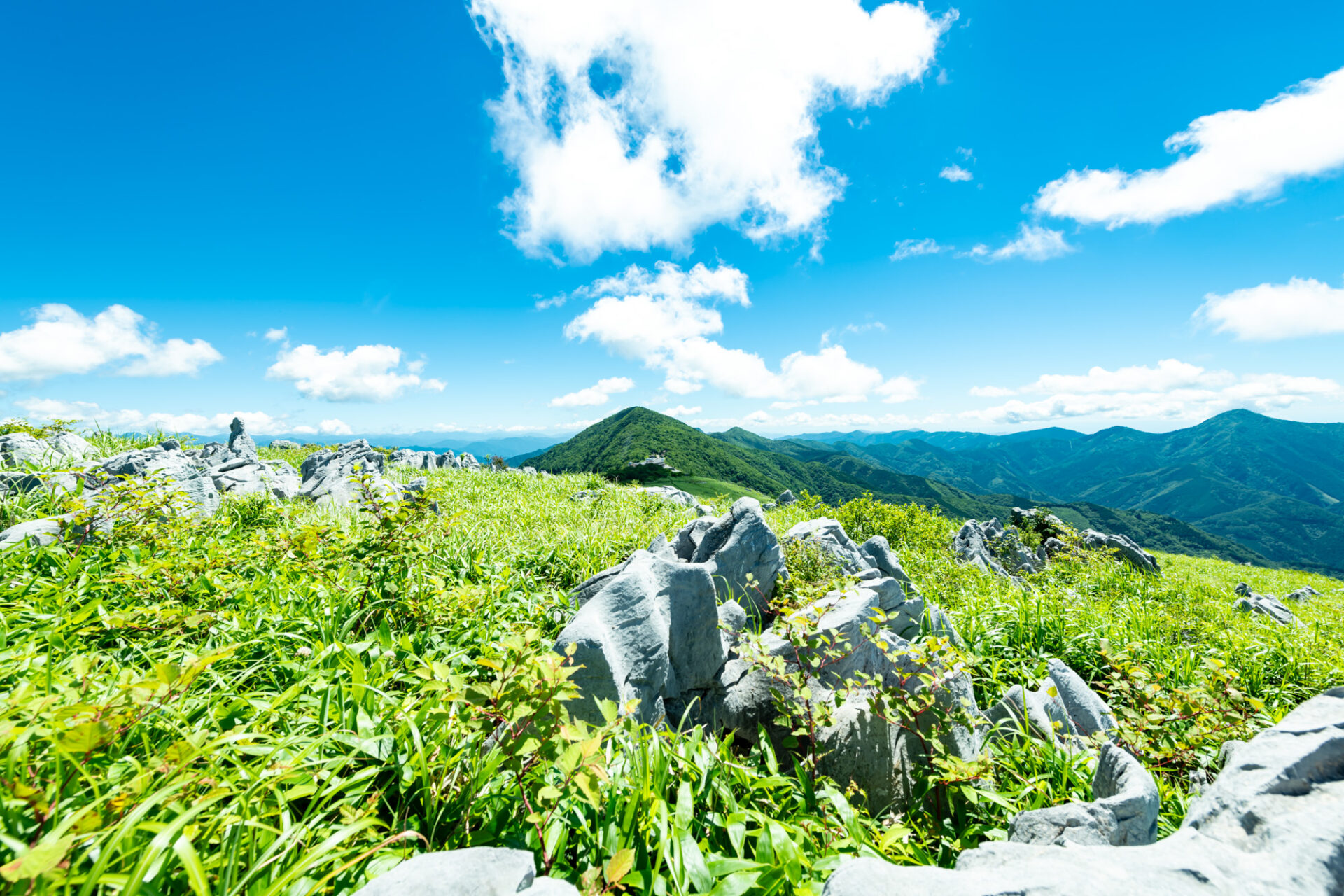 一般社団法人 奥四万十高知